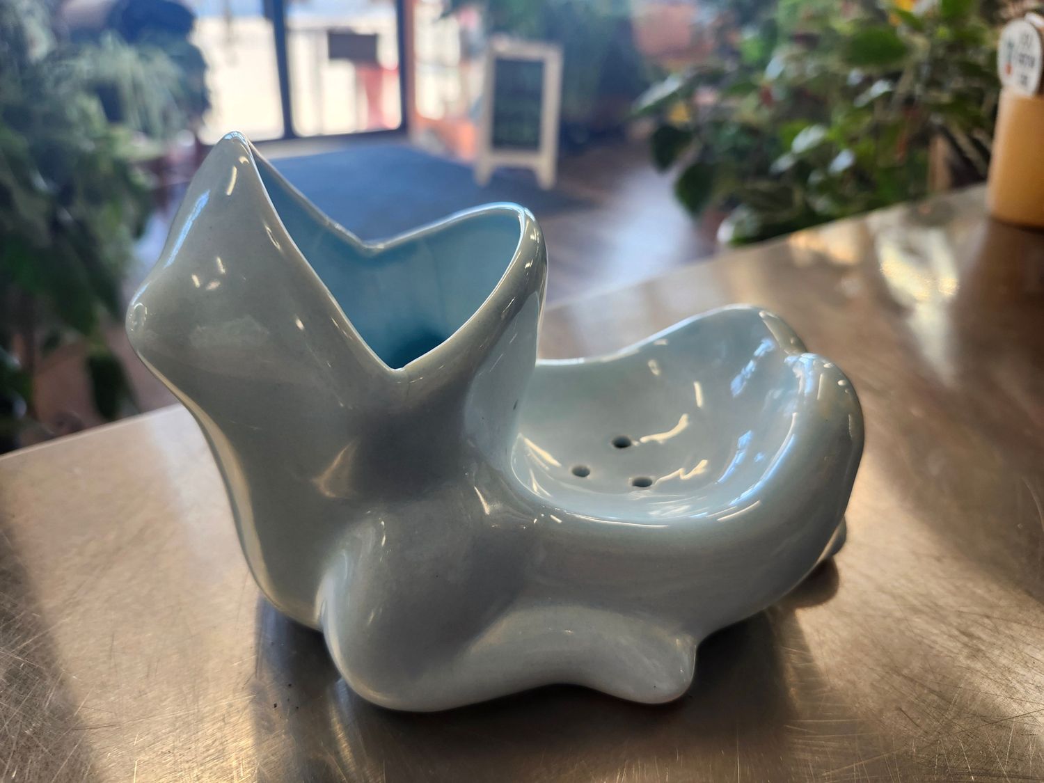 FROG DISH