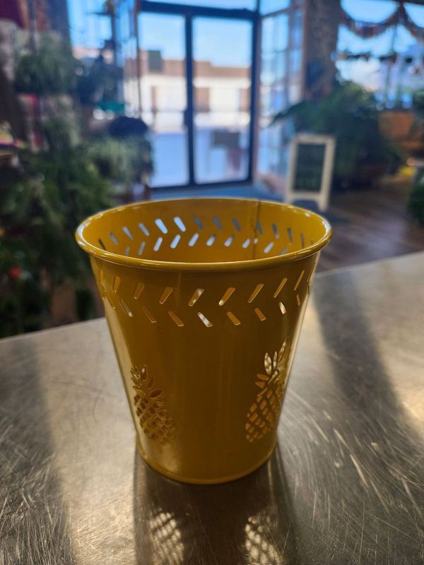 PINEAPPLE TIN
