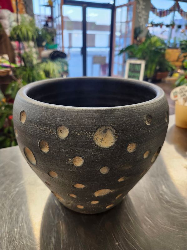 POLKA DOT POT W/DRAIN 8&quot;