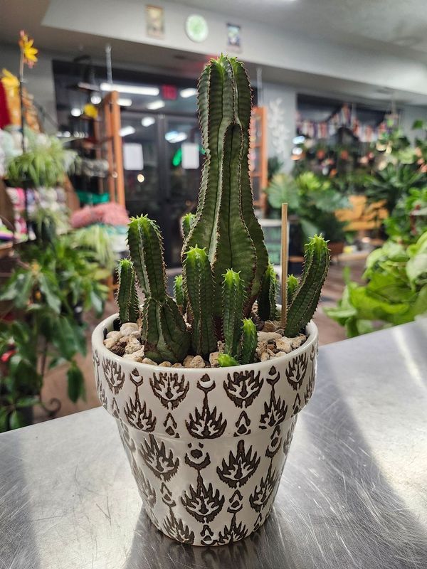POTTED CACTUS GH - GOLD FILLIGREE