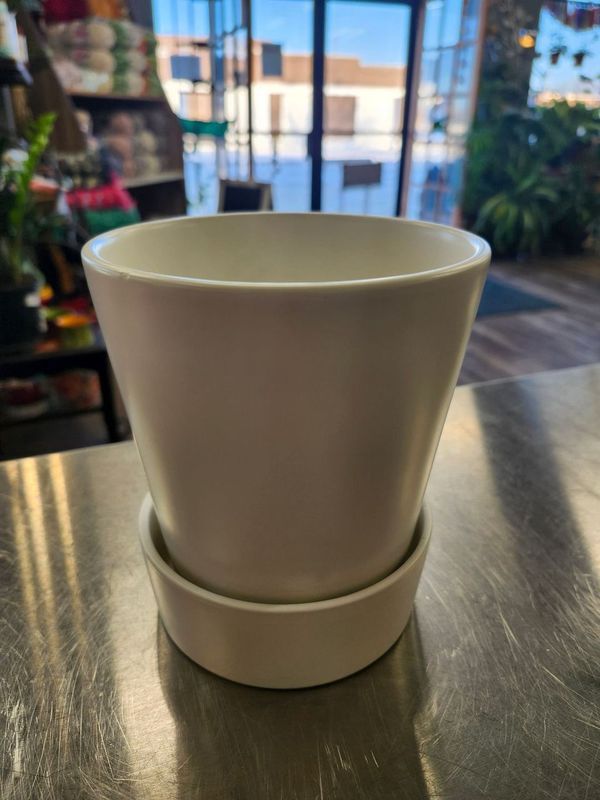 POT W/DRAIN 5&quot; - WHITE