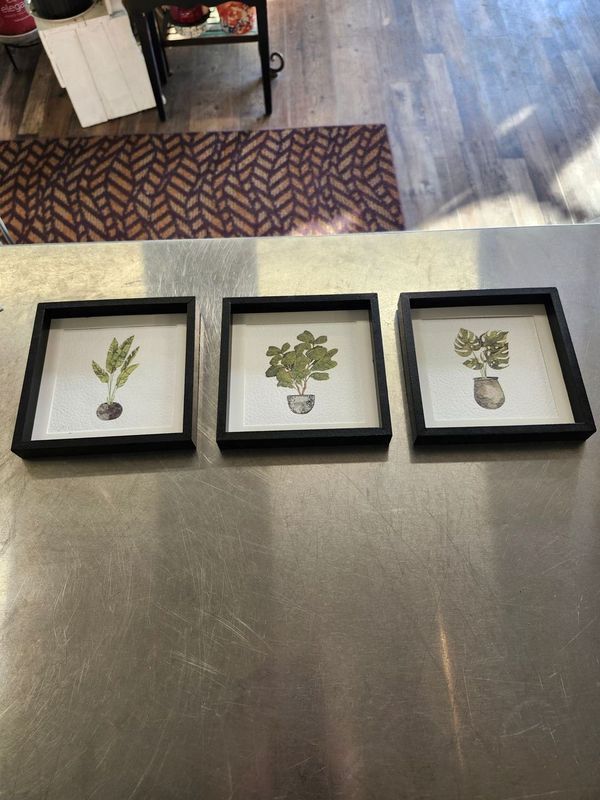 PLANT PRINT 6&quot; - 3 SERIES