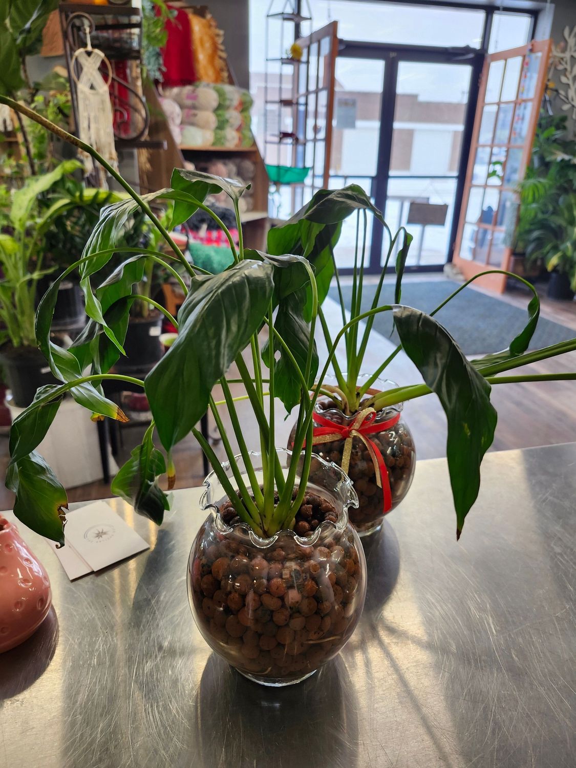 PEACE LILY IN BOWL