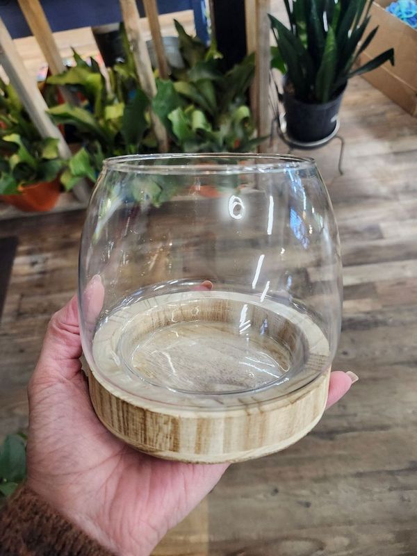 WOOD BOTTOM TERRARIUM