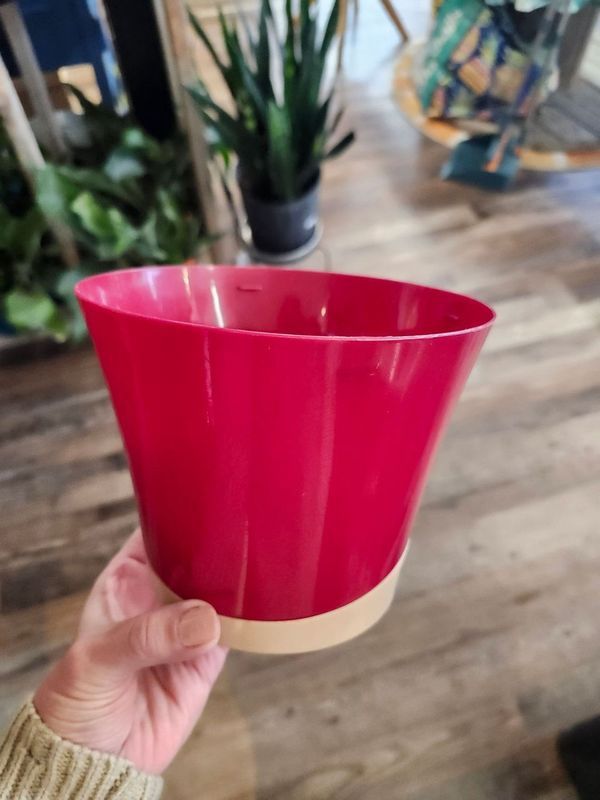 PLASTIC POT 6&quot; - RED