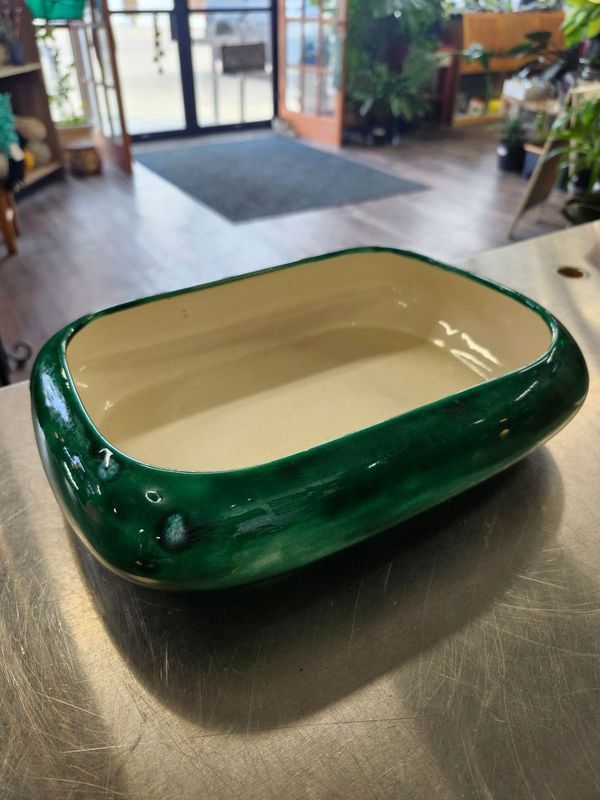 SUCCULENT GARDEN TRAY - GREEN