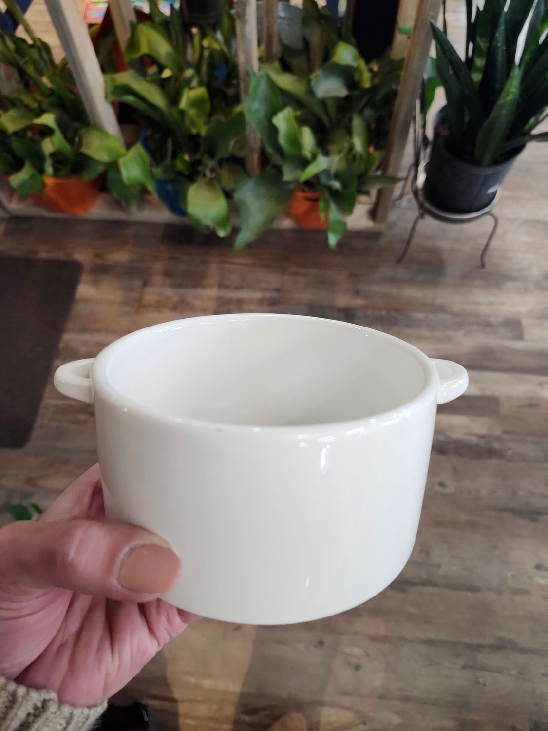 SUCCULENT BOWL - WHITE
