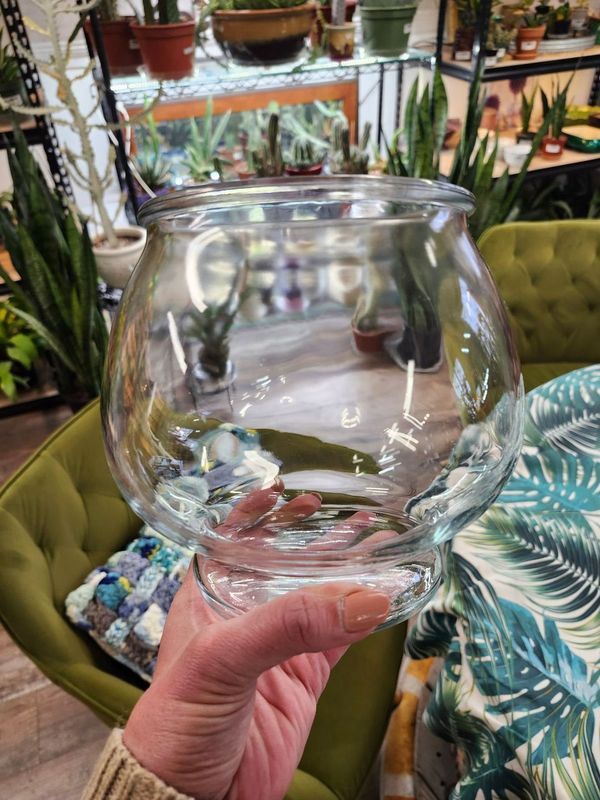FISH BOWL 7&quot;