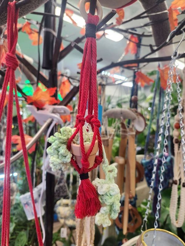 CROCHET HANGING PLANT 1&quot;