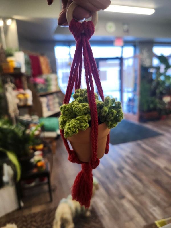 CROCHET HANGING PLANT 2&quot;