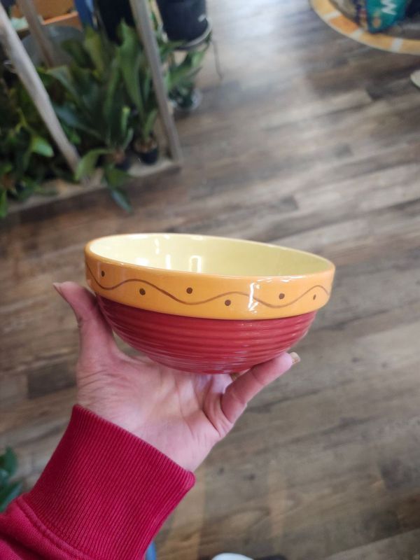 SUCCULENT BOWL 6.5&quot; - FIESTA