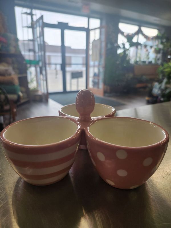 SUCCULENT DISH - 3 BOWL