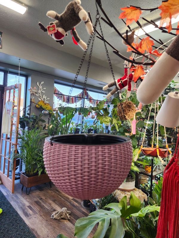 PLASTIC HANGING POT 10&quot;
