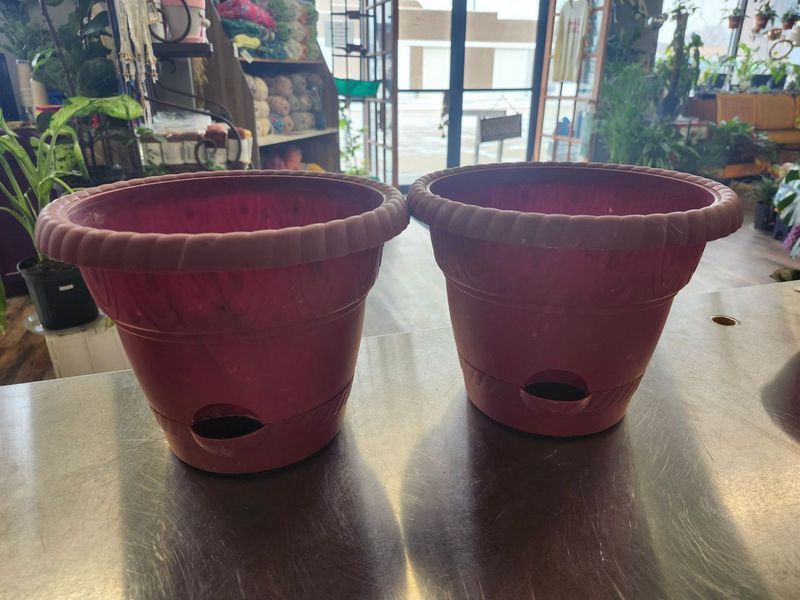 SELF WATERTING POT 9&quot;
