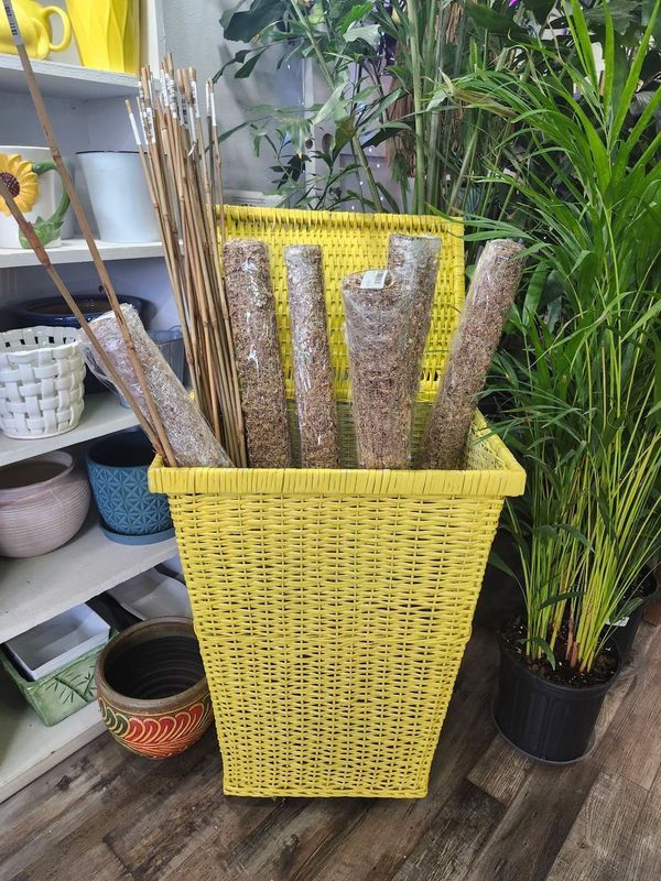 MOSS POLE 3&#39;