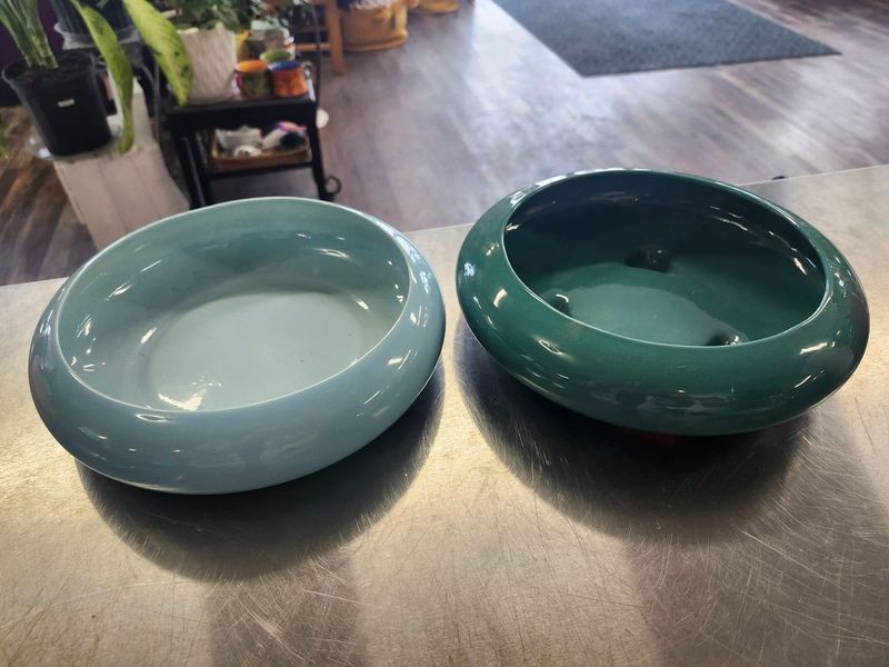 SUCCULENT GARDEN DISH 8&quot;