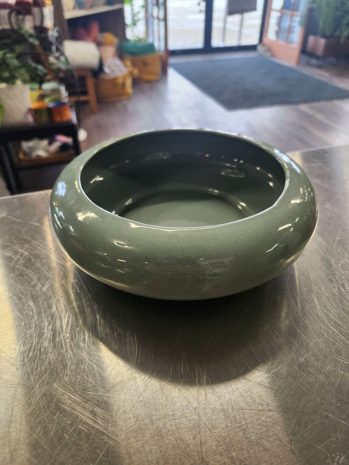 SUCCULENT GARDEN DISH 6&quot;