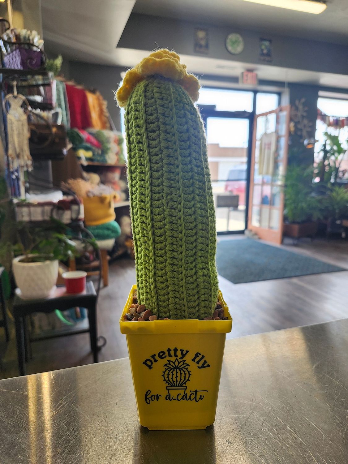 CROCHET CACTUS - POTTED