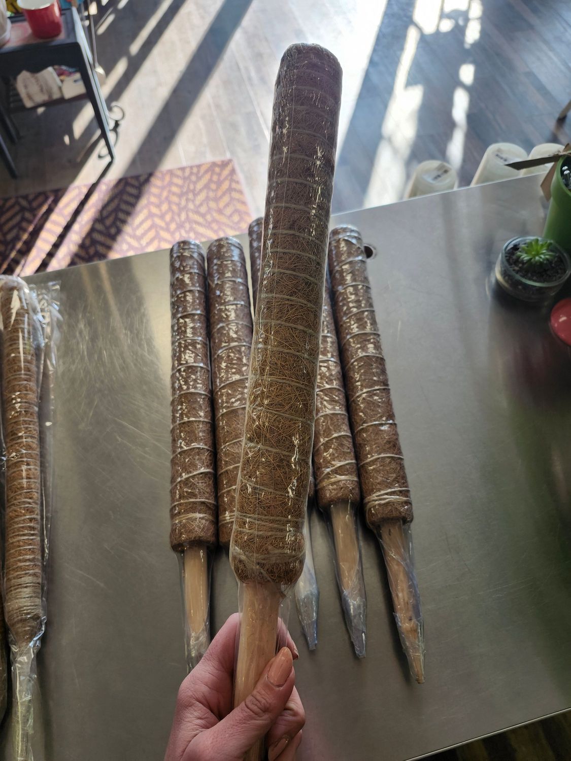 MOSS POLE 20&quot;