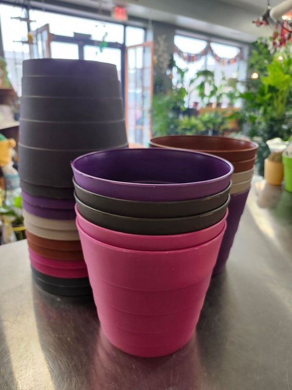 PLASTIC POT 6&quot; - ASST