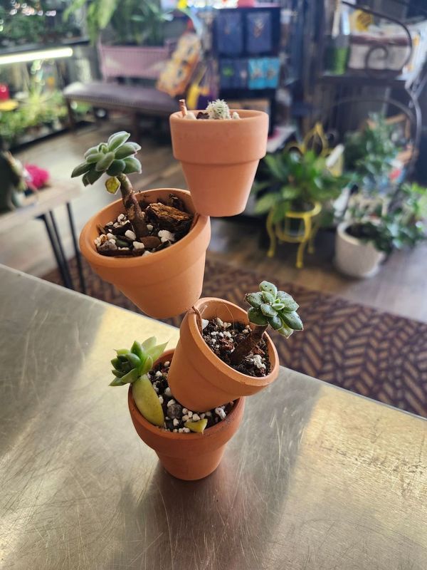 TOPSY TOWER