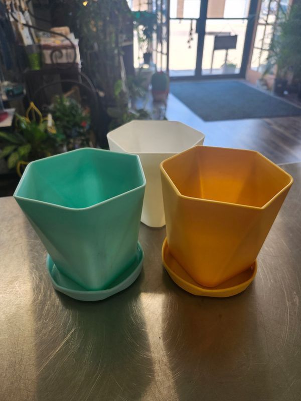 PLASTIC POT W/DRAIN &amp; SAUCER