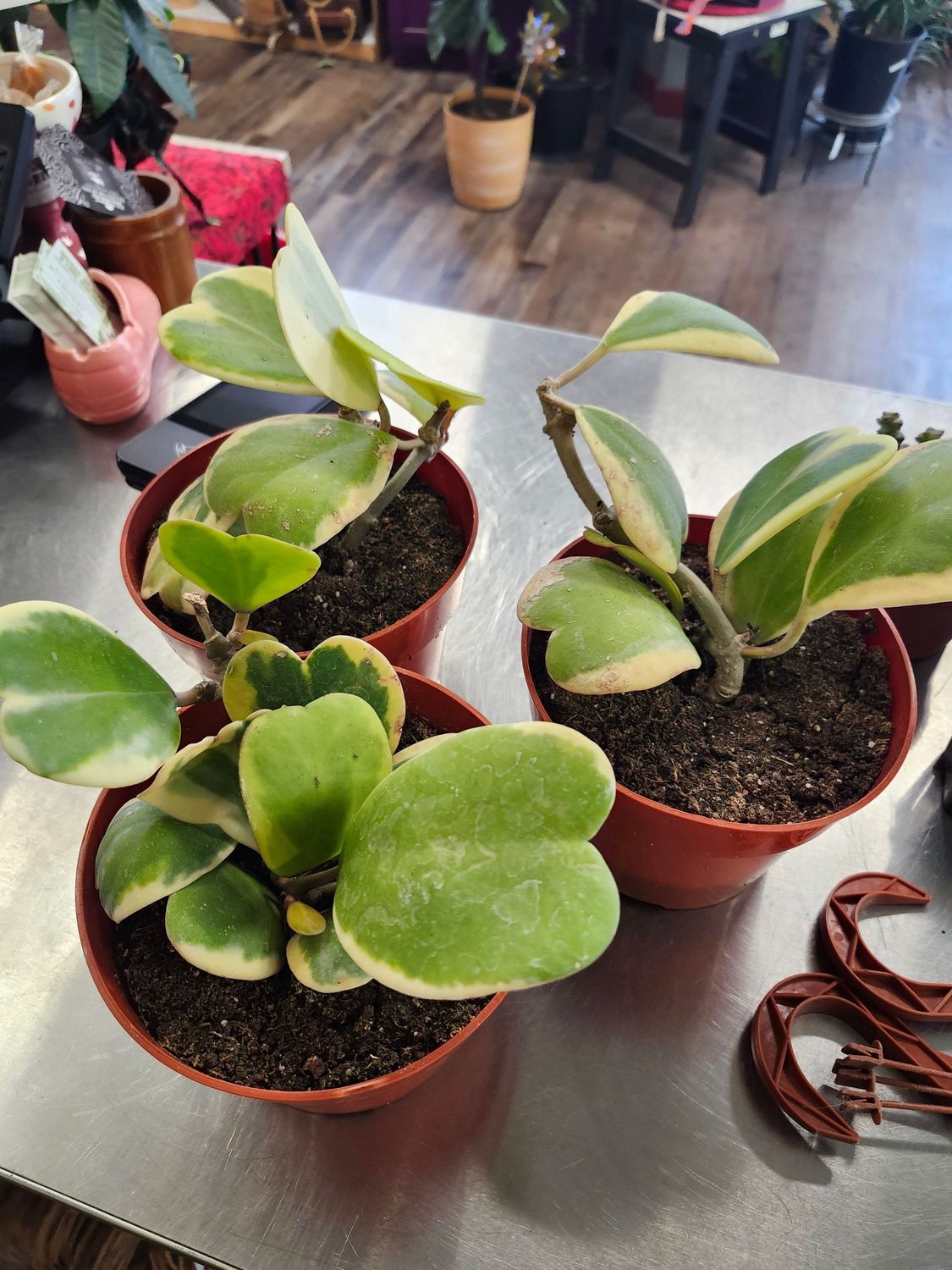 OUTER VARG KERRII HB