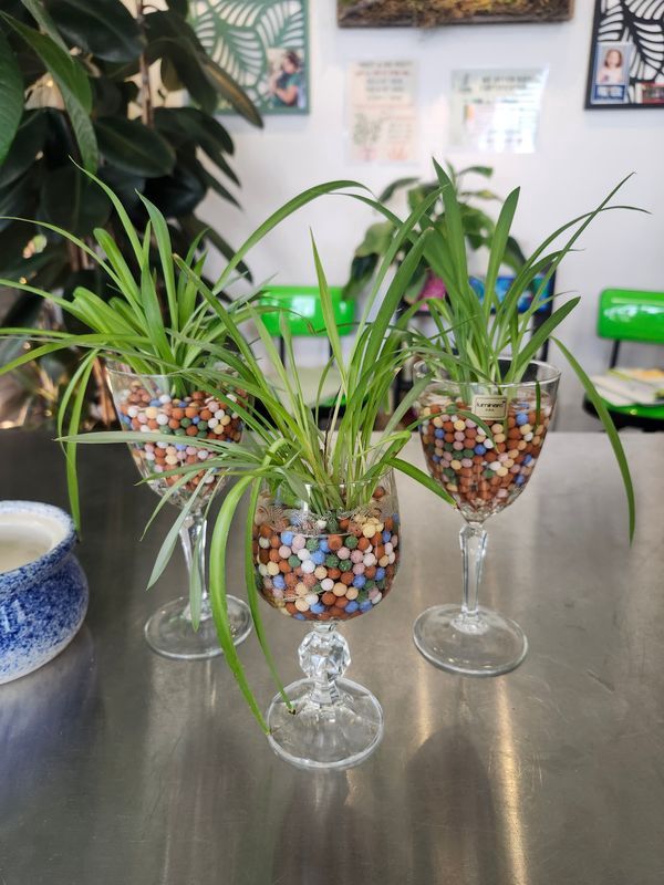 "SPIDER IN WATER" GH