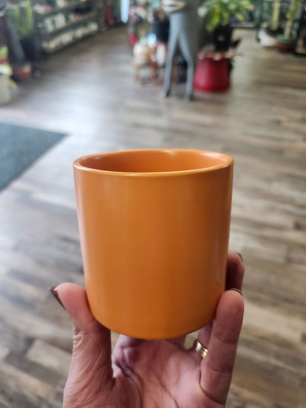 3" ORANGE POT