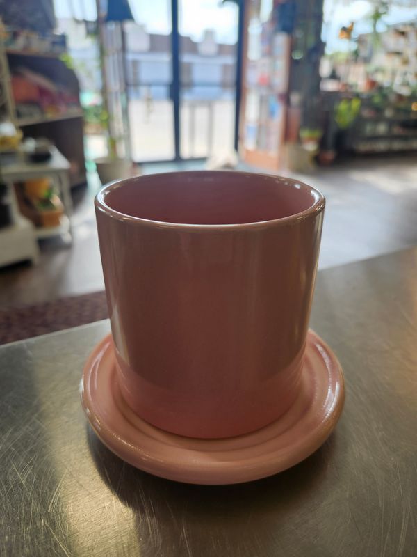 3" PINK POT