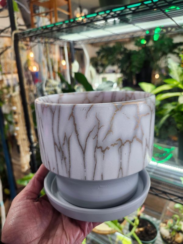 GRAY MARBLE RIM POT