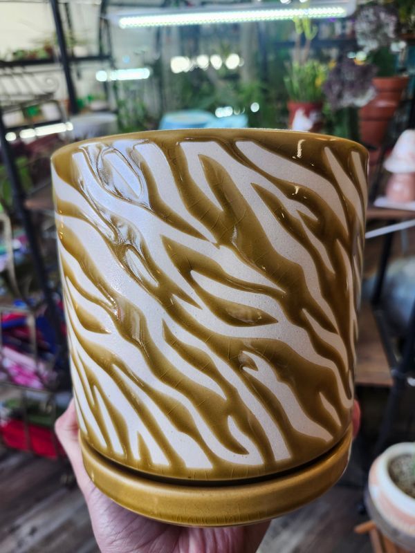 GOLD SWIRL PLANTER 6"