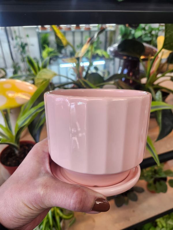 RIBBED POT W/SAUCER