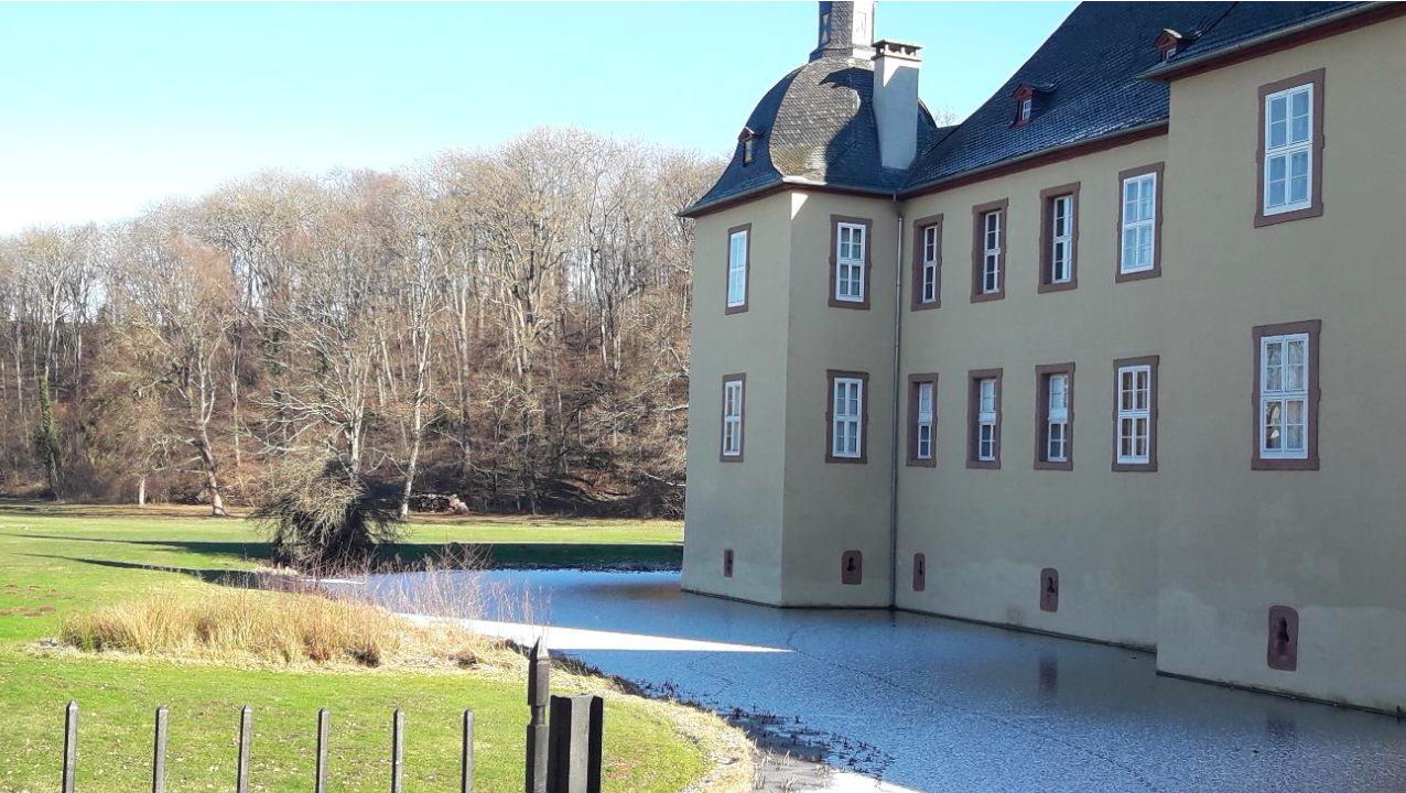 13.12.2025:  Eickser Busch mit Blick auf das Schloss Eicks, 53894 Mechernich