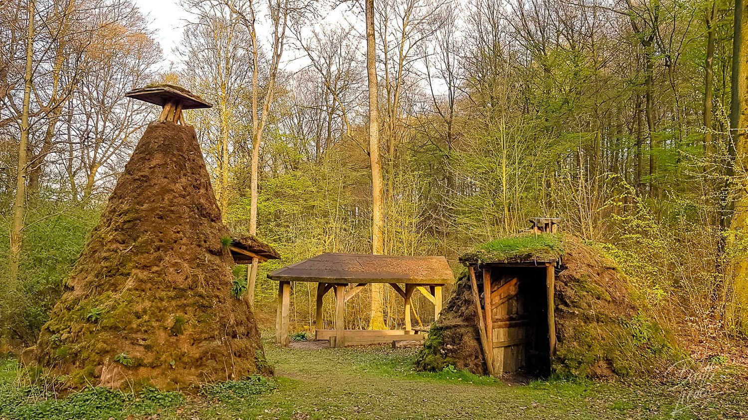 12.10.2025:  Kurfürstlicher Thiergartenweg, 59821 Arnsberg