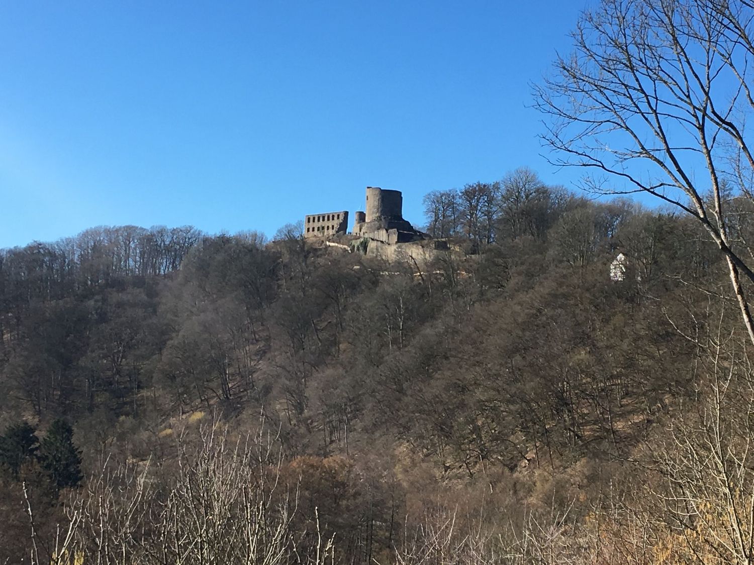 25.01.2026: Burg Windeck und Umgebung, 51579 Windeck