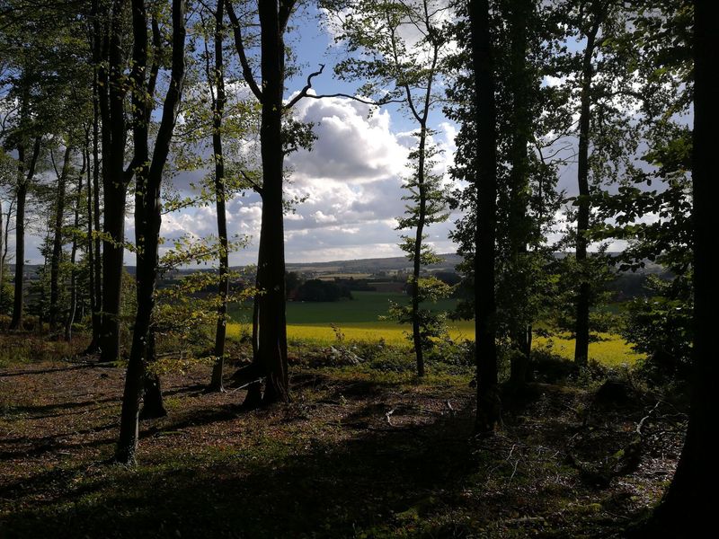 06.04.2025: Unterwegs im Naturschutzgebiet Freeden, 49186 Bad Iburg