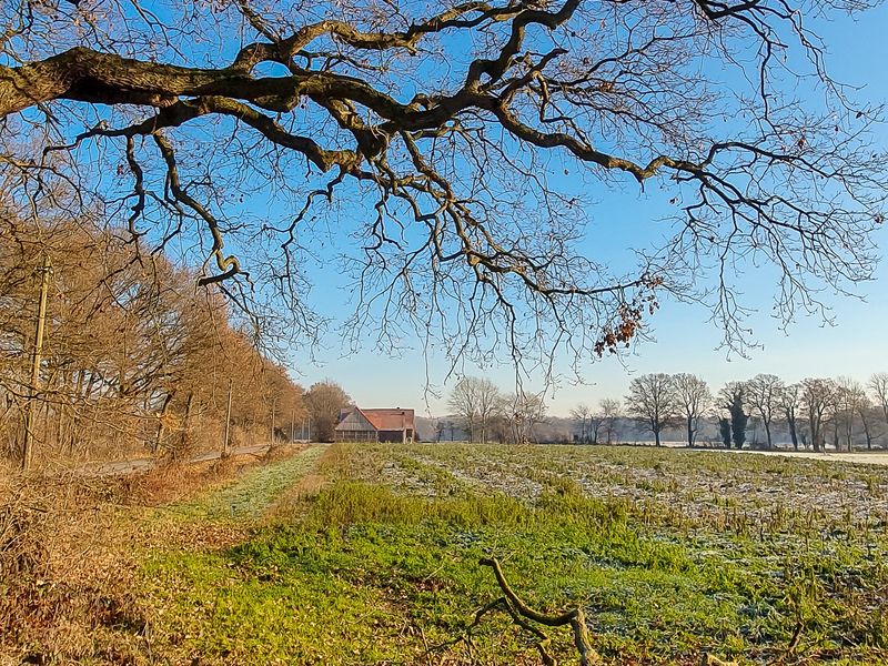 29.06.2025: Durch das Naturschutzgebiet Davert, 59387 Ascheberg