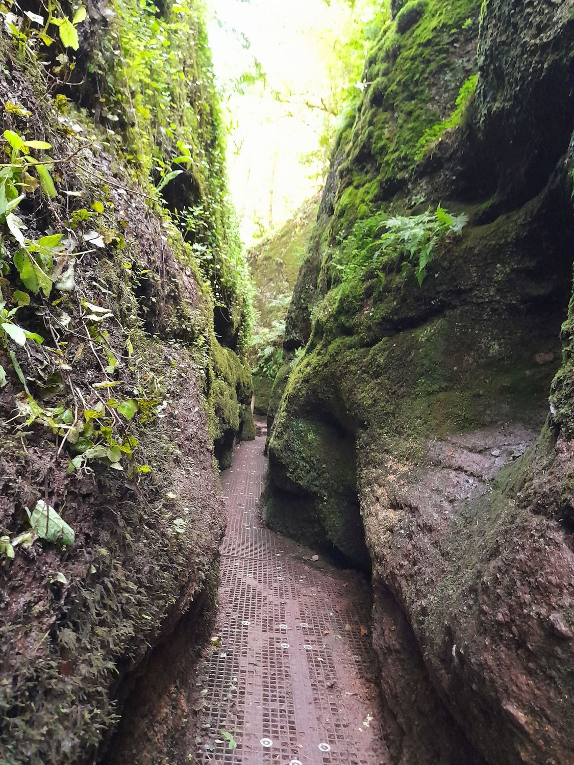 21.06.2025: Schluchtentour (Landgrafen und Drachenschlucht), 99817 Eisenach