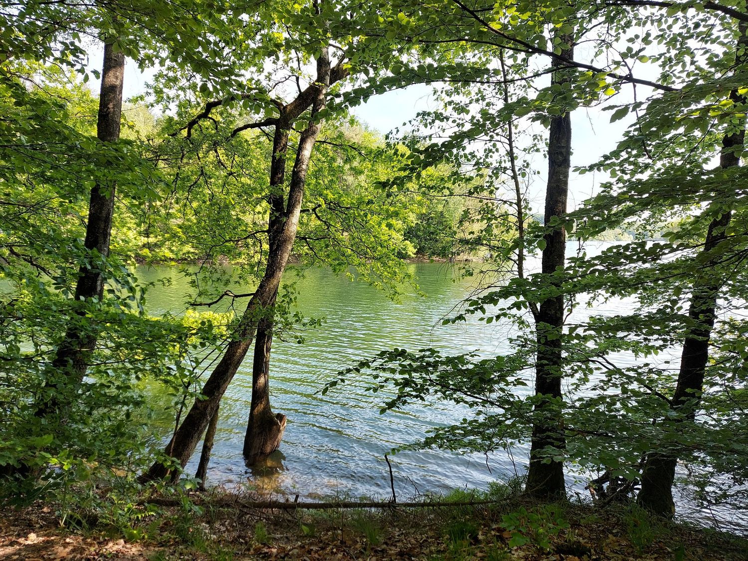 08.11.2025: Harkortberg auf dem Höhenzug des Ardeygebirges, 58300 Wetter