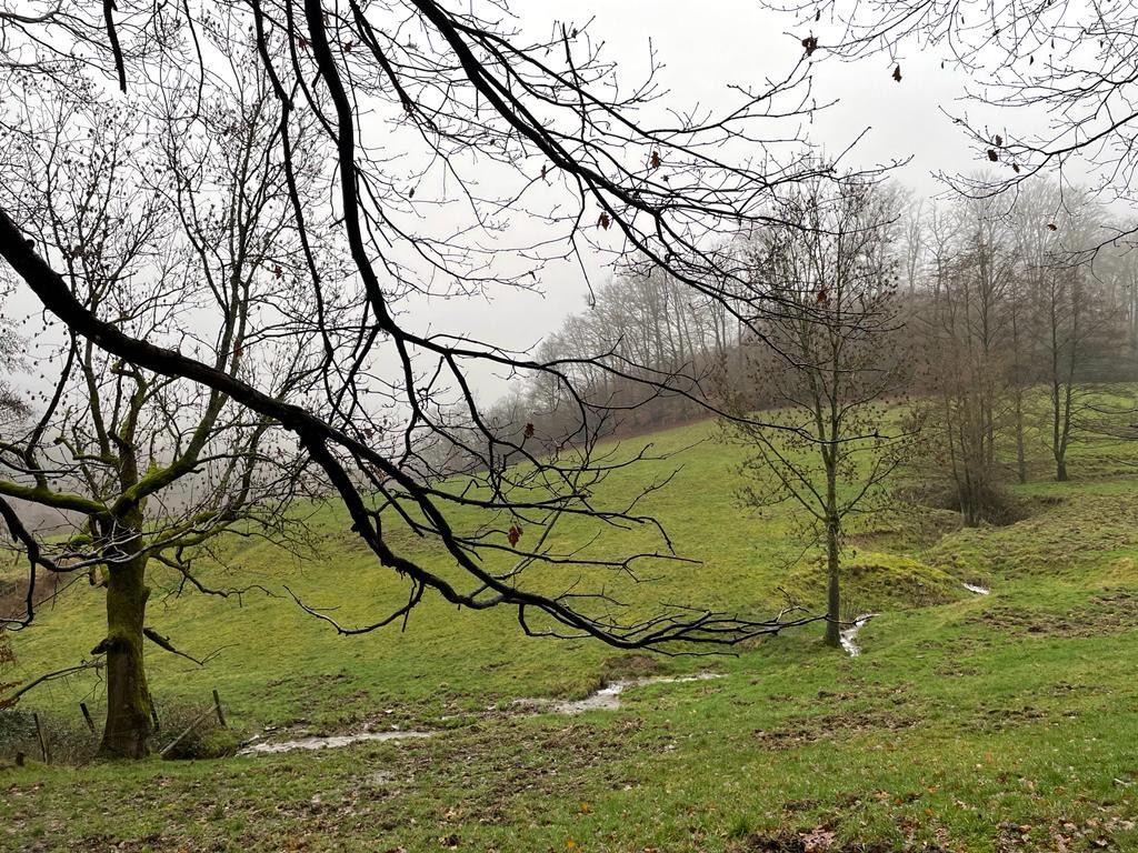 28.09.2025: Rund um Radevormwald, 42477 Radevormwald