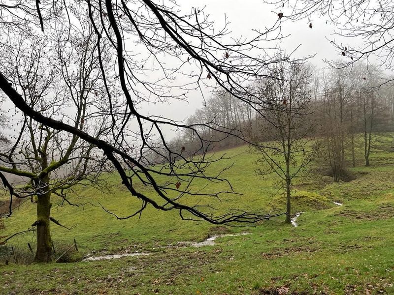 28.09.2025: Rund um Radevormwald, 42477 Radevormwald 28.09.2025: Rund um Radevormwald, 42477 Radevormwald