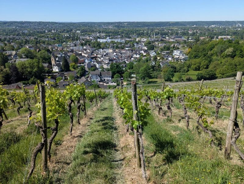 28.09.2025: Siebengebirge – Nördliche Highlights, 53639 Königswinter