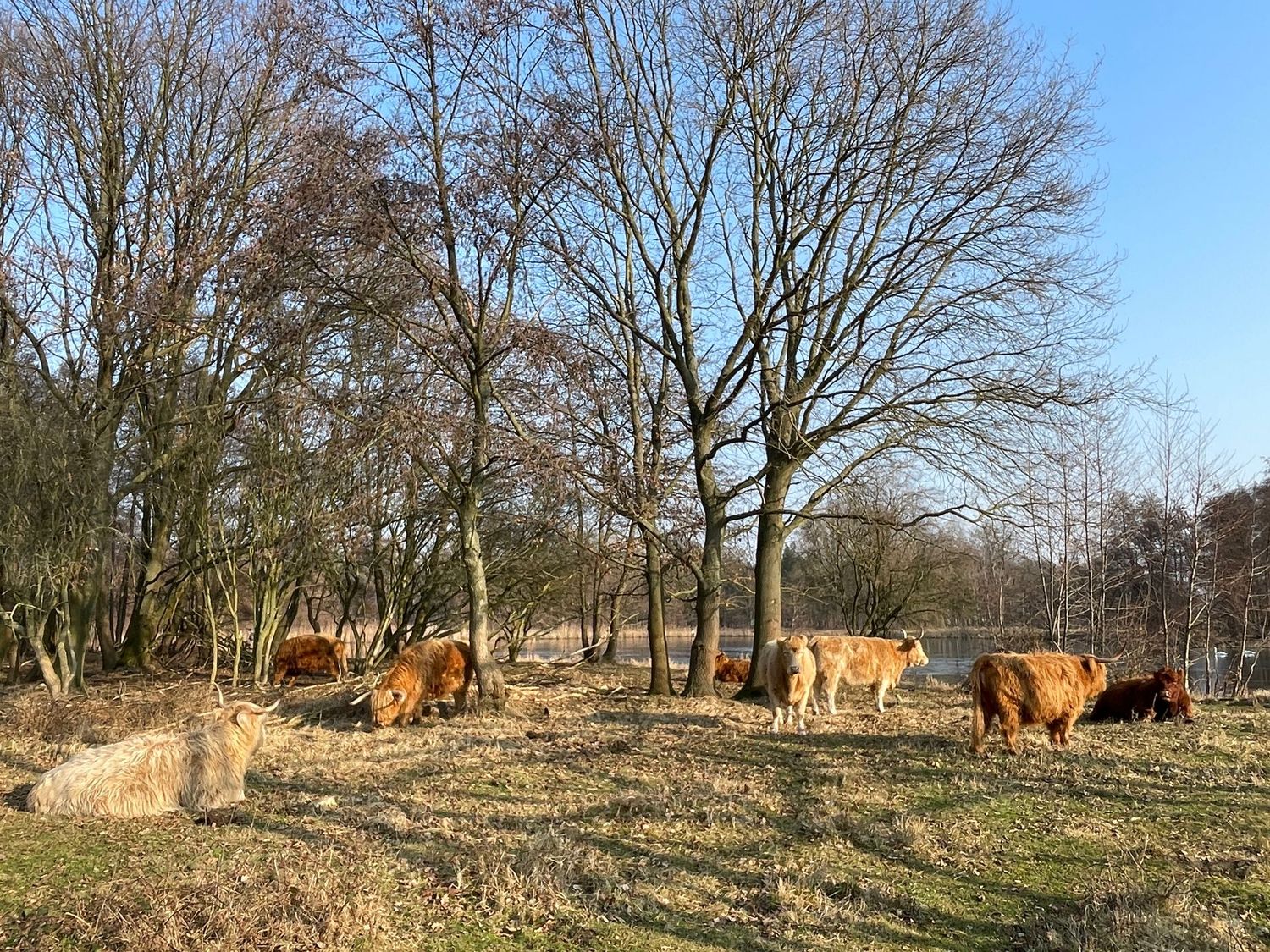 31.08.2025: Wanderung Naturpark Barnim / Hobrechtsfelder Rieselfelder, 16321 Bernau bei Berlin