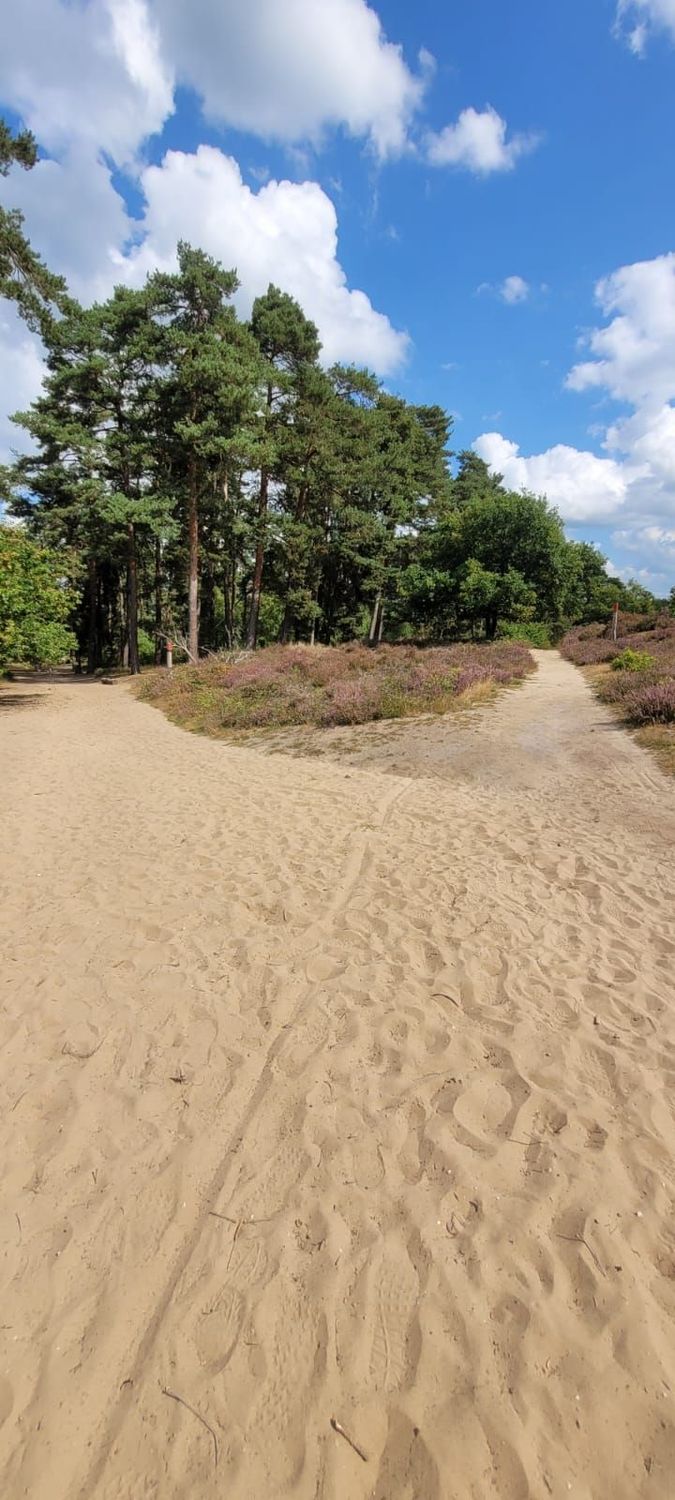 26.10.2025: Wahner Heide – Telgraphenbergtour, 53842 Troisdorf