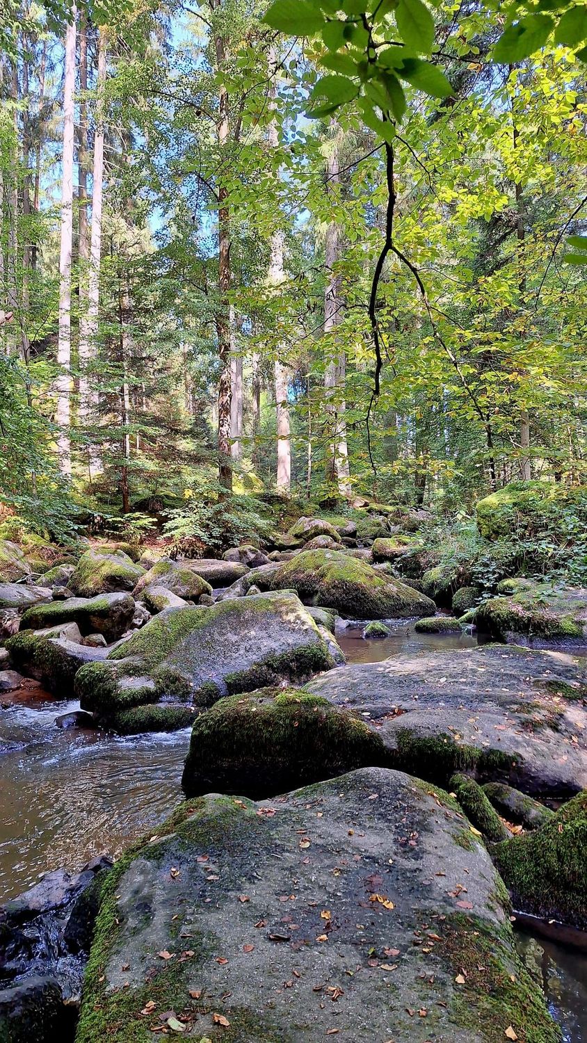 17.01.2026: Winterwanderung zum Pröller, 94379 Sankt Englmar