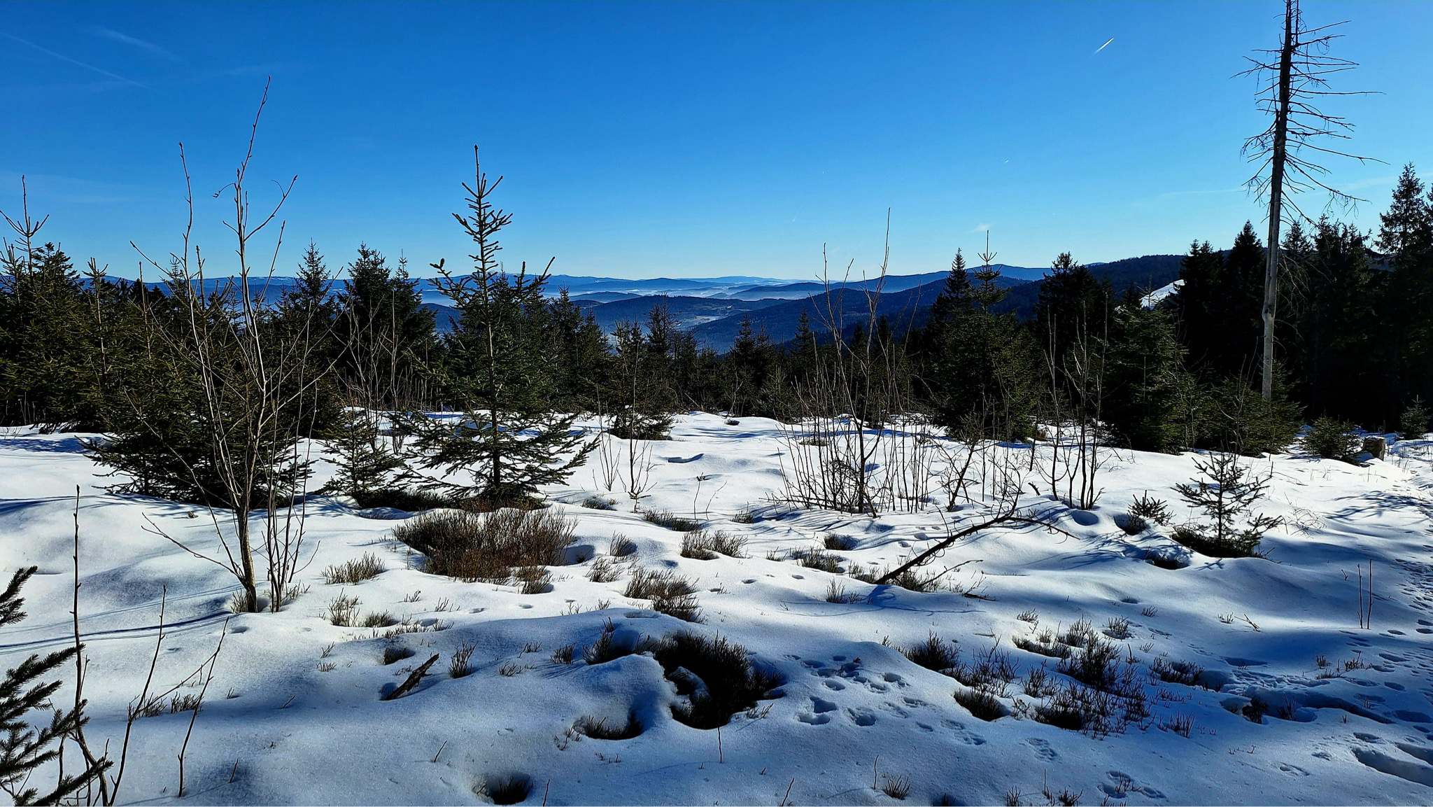 17.01.2026: Winterwanderung zum Pröller, 94379 Sankt Englmar