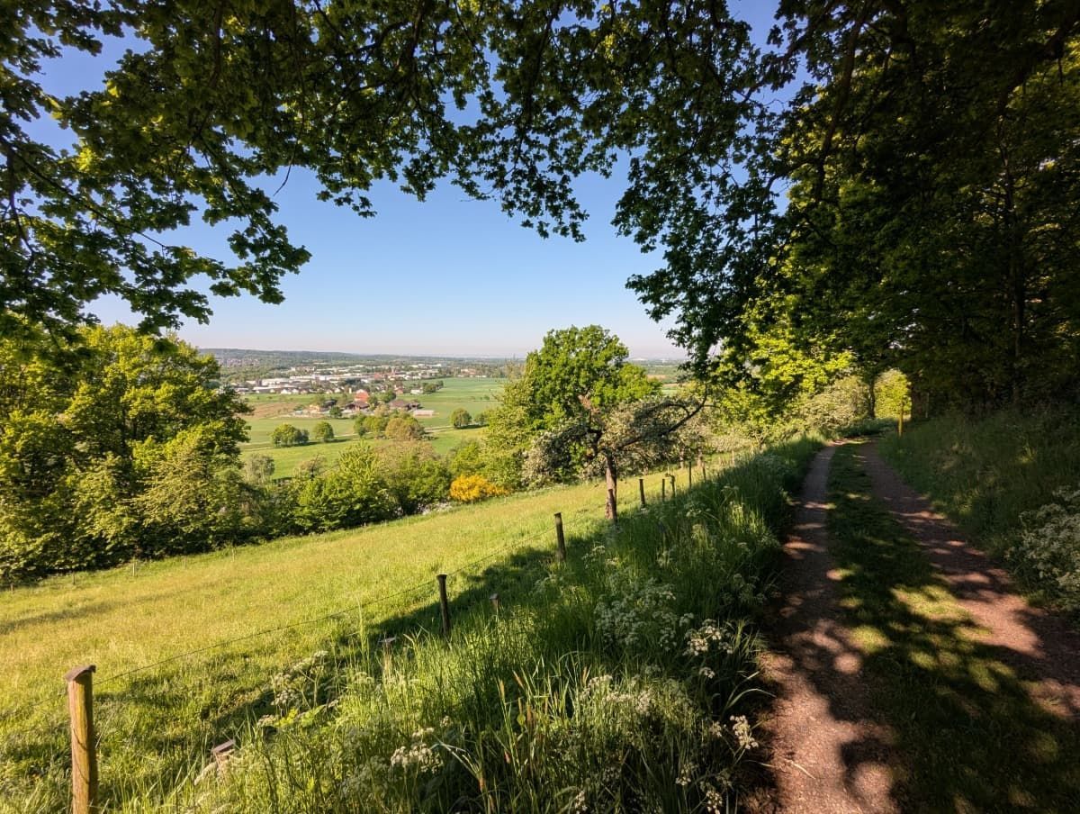 23.11.2025: Siebengebirge – Nördliche Highlights (Niederdollendorf - Petersberg - Kloster Heisterbach - Oberdollendorf), 53639 Königswinter 23.11.2025: Siebengebirge – Nördliche Highlights (Niederdollendorf - Petersberg - Kloster Heisterbach - Oberdollendorf), 53639 Königswinter