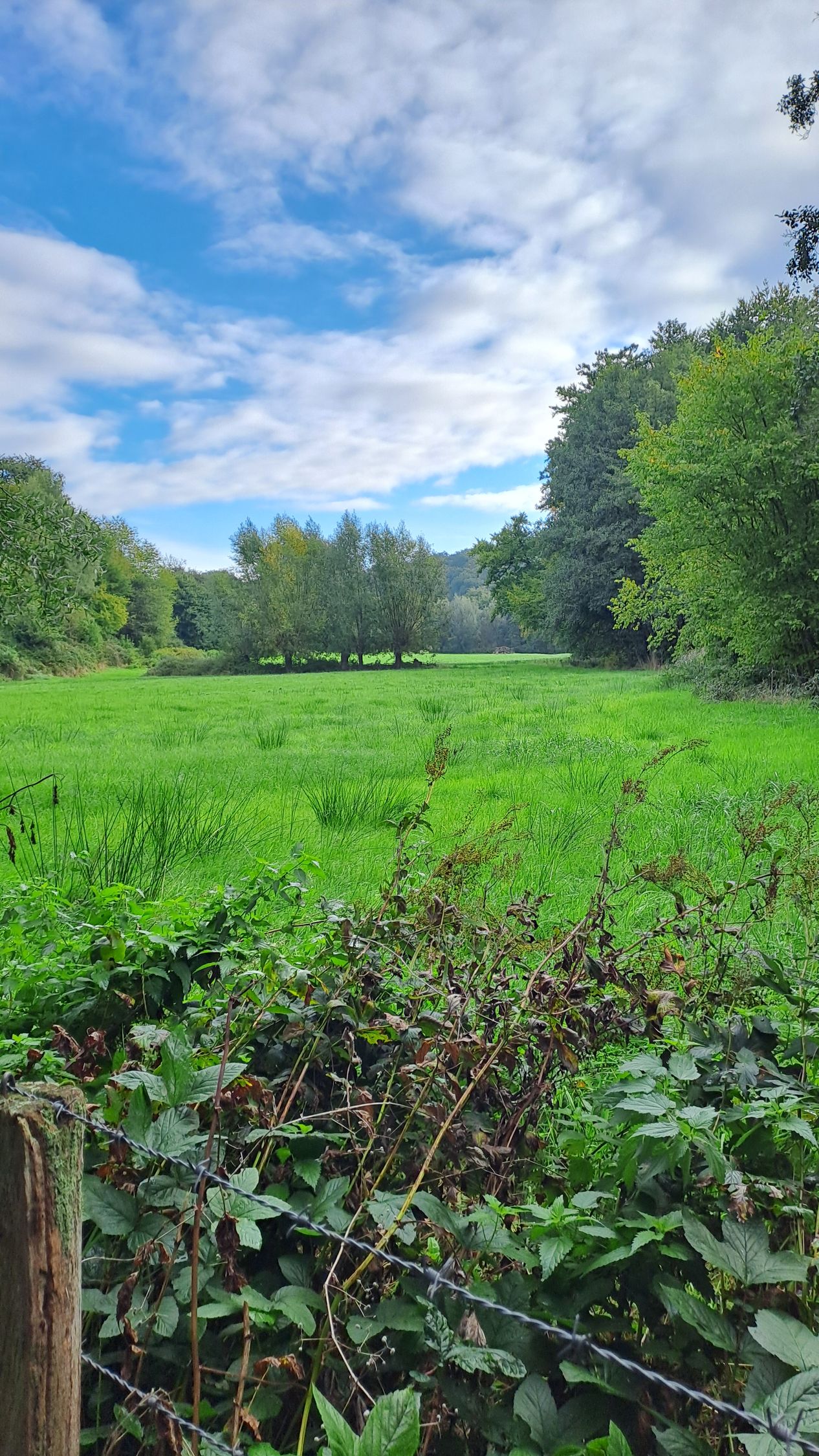 11.01.2026: Entdeckerschleife Denkmalroute Alt-Erkrath, 40699 Erkrath