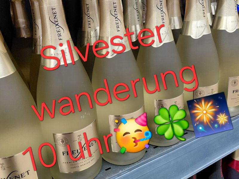 31.12.2025 SILVESTER SPECIAL: Wanderung im Silberseengebiet, 45721 Haltern am See